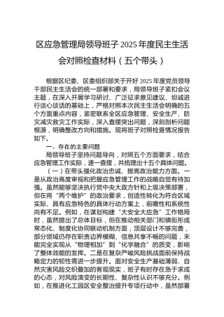区应急管理局领导班子2025年度民主生活会对照检查材料（五个带头）
