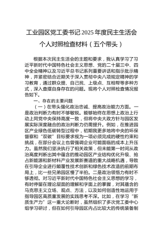 工业园区党工委书记2025年度民主生活会个人对照检查材料（五个带头）