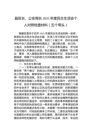 副区长、公安局长2025年度民主生活会个人对照检查材料（五个带头）