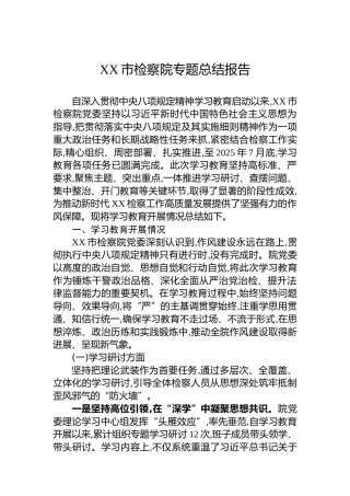 XX市检察院专题总结报告