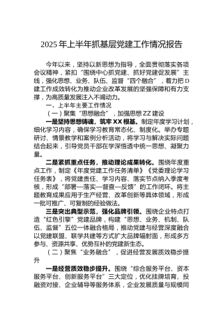 2025年上半年抓基层党建工作情况报告