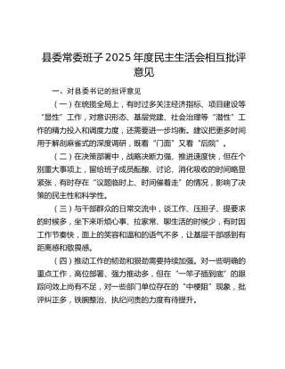 县委常委班子2025年度民主生活会相互批评意见