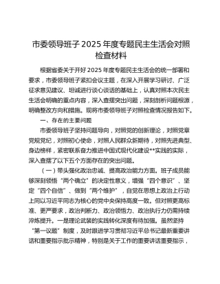 市委领导班子2025年度专题民主生活会对照检查材料（五个带头）