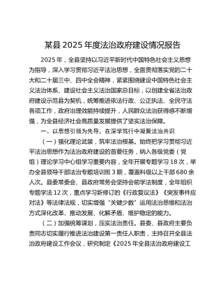某县2025年度法治政府建设情况报告