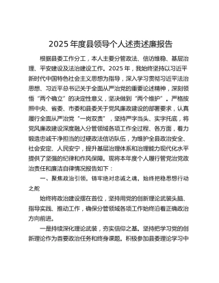 2025年度县领导个人述责述廉报告