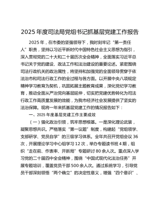 2025年度司法局党组书记抓基层党建工作报告