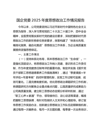 国企公司2025年度思想政治工作情况报告