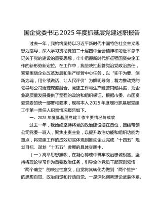 国企党委书记2025年度抓基层党建述职报告6700字