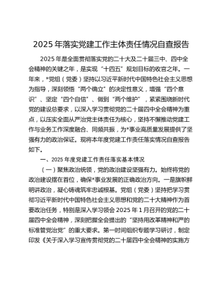 2025年落实党建工作主体责任情况自查报告（党建总结4800字）