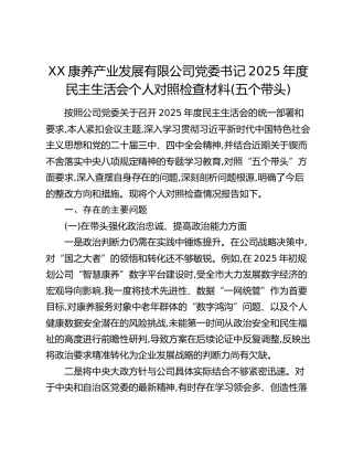 XX康养产业发展有限公司党委书记2025年度民主生活会个人对照检查材料(五个带头)