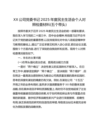XX公司党委书记2025年度民主生活会个人对照检查材料(五个带头)_1