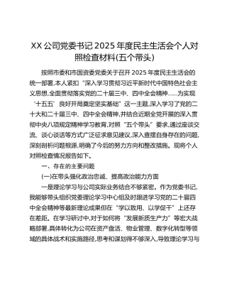 XX公司党委书记2025年度民主生活会个人对照检查材料(五个带头)