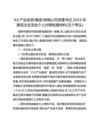 XX产业投资(集团)有限公司党委书记2025年度民主生活会个人对照检查材料(五个带头)