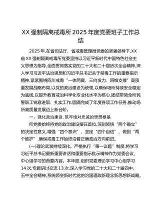 XX强制隔离戒毒所2025年度党委班子工作总结