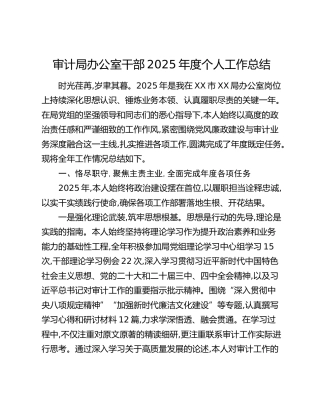审计局办公室干部2025年度个人工作总结