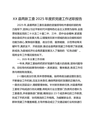 XX县两新工委2025年度抓党建工作述职报告