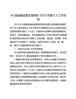 XX县金融监管支局局长2025年度个人工作总结