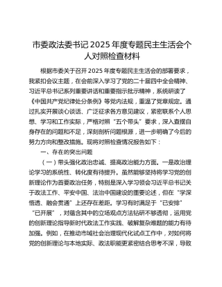 市委政法委书记2025年度专题民主生活会个人对照检查材料（五个带头）