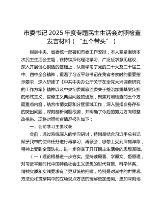市委书记2025年度专题民主生活会对照检查发言材料（“五个带头”）