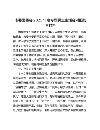 市委常委会2025年度专题民主生活会对照检查材料（五个带头）