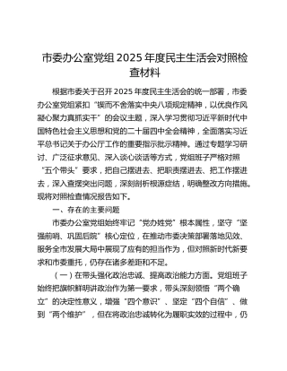 市委办公室党组2025年度民主生活会对照检查材料（五个带头）