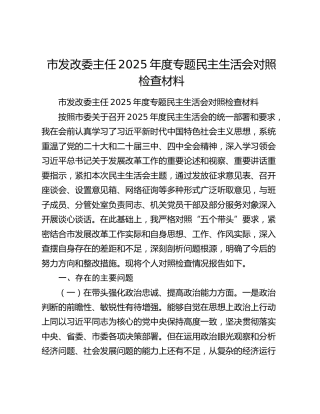 市发改委主任2025年度专题民主生活会对照检查材料（五个带头）