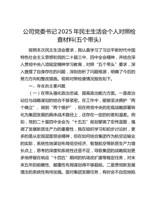 公司党委书记2025年民主生活会个人对照检查材料(五个带头)
