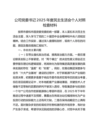 公司党委书记2025年度民主生活会个人对照检查材料（五个带头）