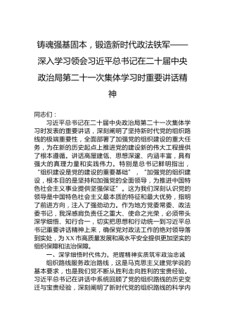 铸魂强基固本，锻造新时代政法铁军——深入学习领会习近平总书记在二十届中央政治局第二十一次集体学习时重要讲话精神