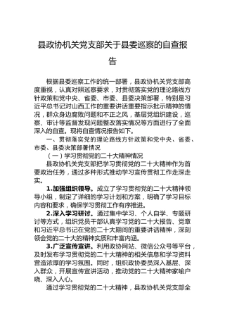 县政协机关党支部关于县委巡察的自查报告