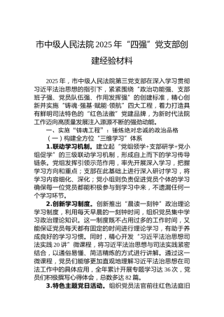 市中级人民法院2025年“四强”党支部创建经验材料
