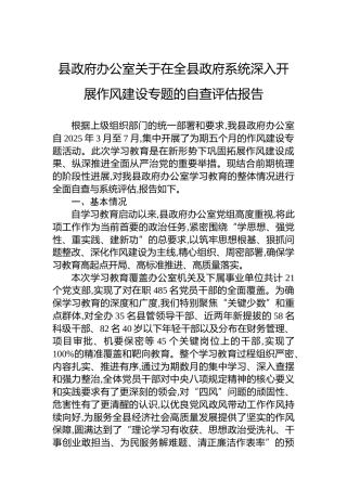 县政府办公室关于在全县政府系统深入开展作风建设专题的自查评估报告