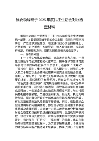 县委领导班子2025年度民主生活会对照检查材料