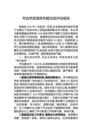 市自然资源局专题总结评估报告