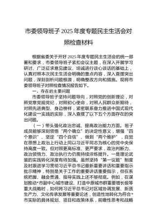 市委领导班子2025年度专题民主生活会对照检查材料