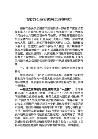 市委办公室专题总结评估报告