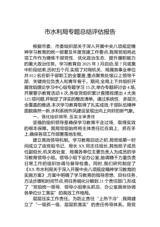 市水利局专题总结评估报告