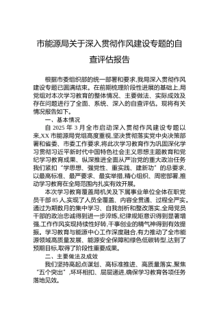 市能源局关于深入贯彻作风建设专题的自查评估报告