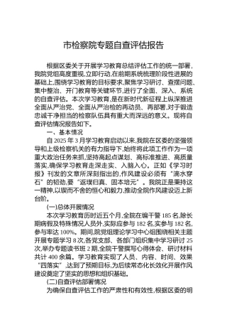 市检察院专题自查评估报告