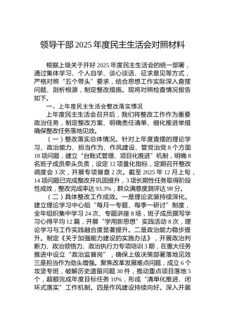 领导干部2025年度民主生活会对照材料