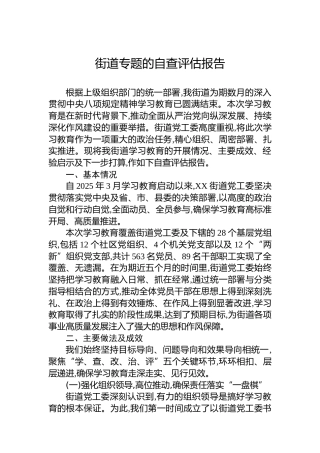 街道专题的自查评估报告