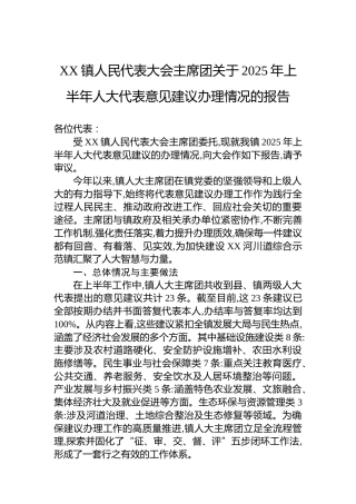 XX镇人民代表大会主席团关于2025年上半年人大代表意见建议办理情况的报告
