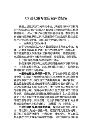 XX县纪委专题自查评估报告