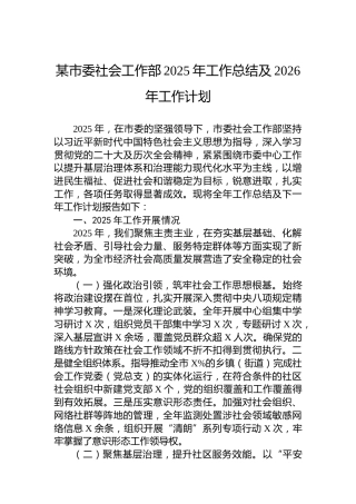 某市委社会工作部2025年工作总结及2026年工作计划