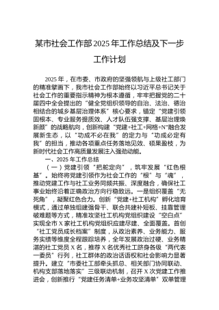 某市社会工作部2025年工作总结及下一步工作计划