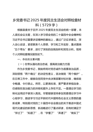 乡党委书记2025年度民主生活会对照检查材料（5729字）