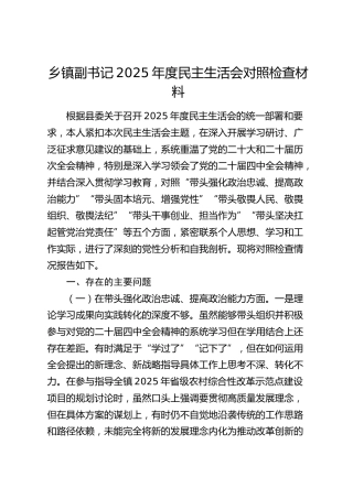 乡镇副书记2025年度民主生活会对照检查材料（五个带头）