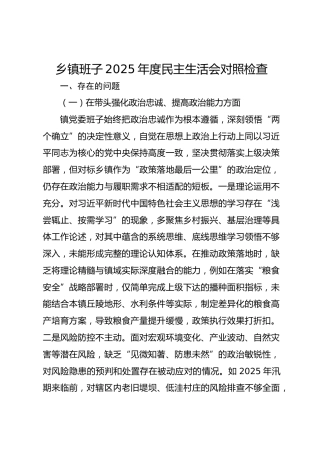 乡镇班子2025年度民主生活会对照检查（五个带头）