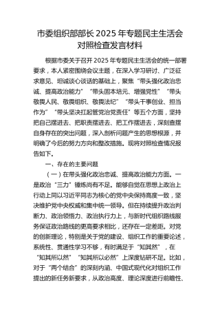 市委组织部部长2025年专题民主生活会对照检查发言材料（五个带头）