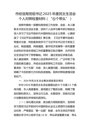 市经信局党组书记2025年度民主生活会个人对照检查材料（含上年度问题整改情况）（五个带头）